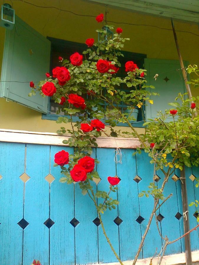 Blue Cottage Podvrh  Exterior foto